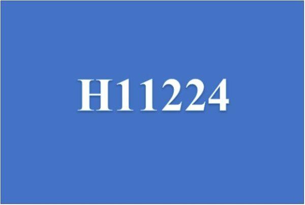 H11224