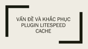 Vấn đề và khắc phục plugin LiteSpeed Cache
